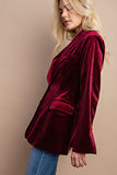 Vibrant Velvet Blazer - Greige Goods