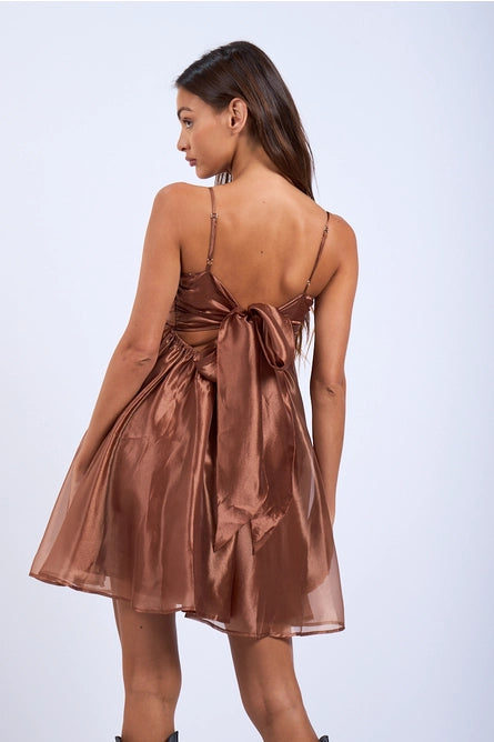 Sheer Layered Swing Dress Cocoa / M Sheer Layered Swing Dress Cocoa / M