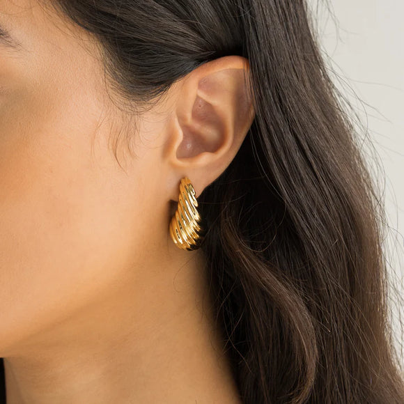 Shell Drop Earrings - Greige Goods